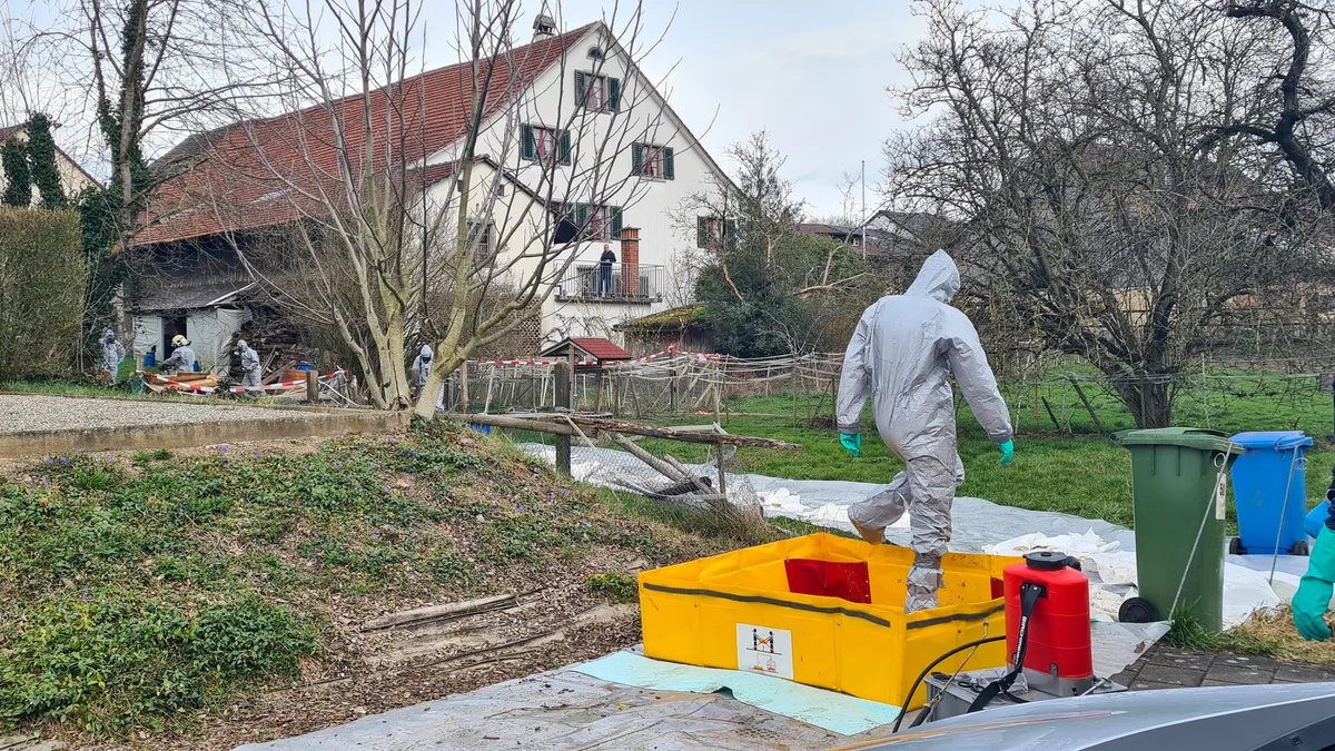 Am 21. März wurde bekannt, dass in Fehraltorf die Vogelgrippe ausgebrochen ist. Recherchen vor Ort zeigen, dass es sich um ein kleines Grundstück mitten im Dorfkern handelt.