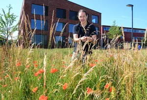 Marc Weiss setzt sich im Namen der Stadt Illnau-Effretikon für mehr Natur im Siedlungsraum ein. Mit der Anlage von Blumenwiesen wie hier beim Schulhaus Hagen in Illnau geht diese mit gutem Beispiel voran. Marc Weiss setzt sich im Namen der Stadt Illnau-Effretikon für mehr Natur im Siedlungsraum ein. Mit der Anlage von Blumenwiesen wie hier beim Schulhaus Hagen in Illnau geht diese mit gutem Beispiel voran.