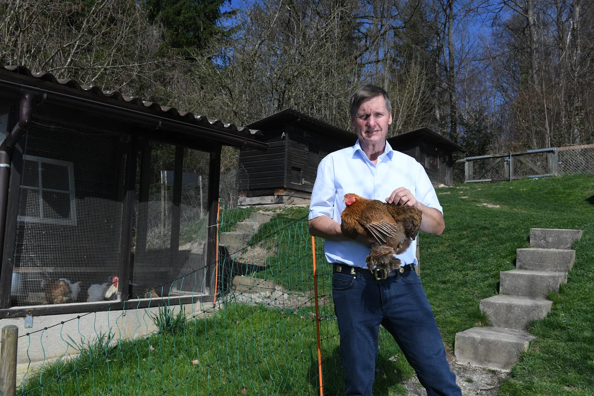 Zu Besuch bei Urs Weiss, Praesident des Schweizer Kleintierzuechterverbandes - Urs Weiss mit einem Zwerg-Cochin Huhn. Zu Besuch bei Urs Weiss, Praesident des Schweizer Kleintierzuechterverbandes - Urs Weiss mit einem Zwerg-Cochin Huhn.