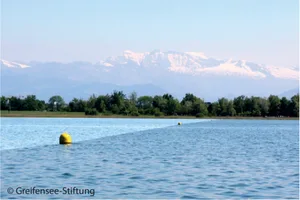 12286225-1 Pfäffikersee