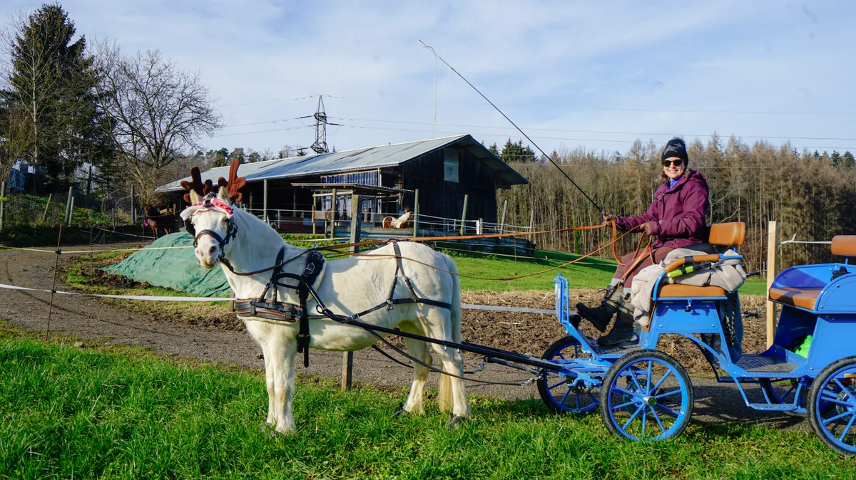 13441473-1 Nina Spengler betreibt als Reitpädagogin eine Reitschule in Illnau-Effretikon. Nun wurde ihr der Mietvertrag gekündigt - und ihr droht die Aufgabe der Reitschule.