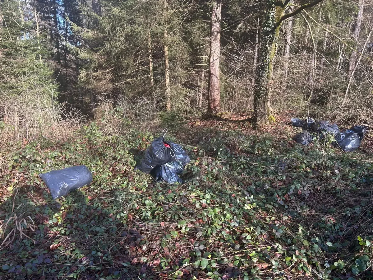Ein Umweltsünder hat mitten im Wald 19 Abfallsäcke entsorgt.