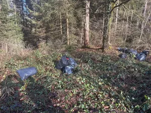 Ein Umweltsünder hat mitten im Wald 19 Abfallsäcke entsorgt. Ein Umweltsünder hat mitten im Wald 19 Abfallsäcke entsorgt.