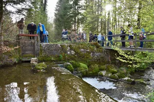 29661550-5 80 Interessierte nahmen an der Wanderung entlang der Wasserkraft-Stationen teil.