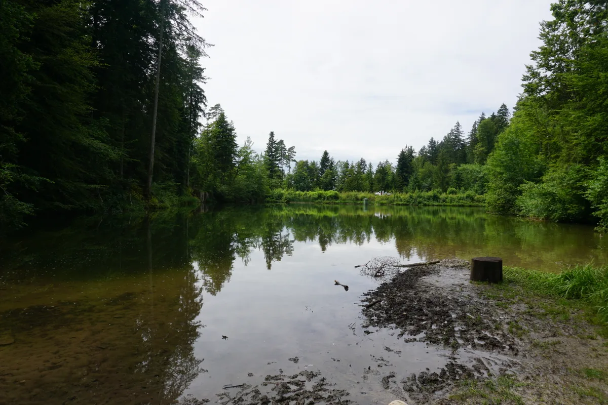 Beim Luppmenweiher gibt es ein Bänkli und eine Grillstelle, die sehr beliebt sind.