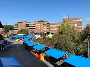 Der Frühlingsmarkt Der Frühlingsmarkt