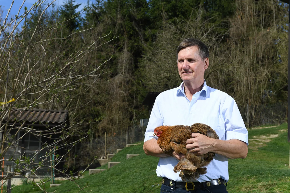 28261457-1 Urs Weiss, Vereinspräsident von Kleintiere Schweiz, macht sich Sorgen um die Geflügelzucht in der Schweiz.