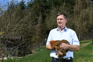 28261457-1 Urs Weiss, Vereinspräsident von Kleintiere Schweiz, macht sich Sorgen um die Geflügelzucht in der Schweiz.