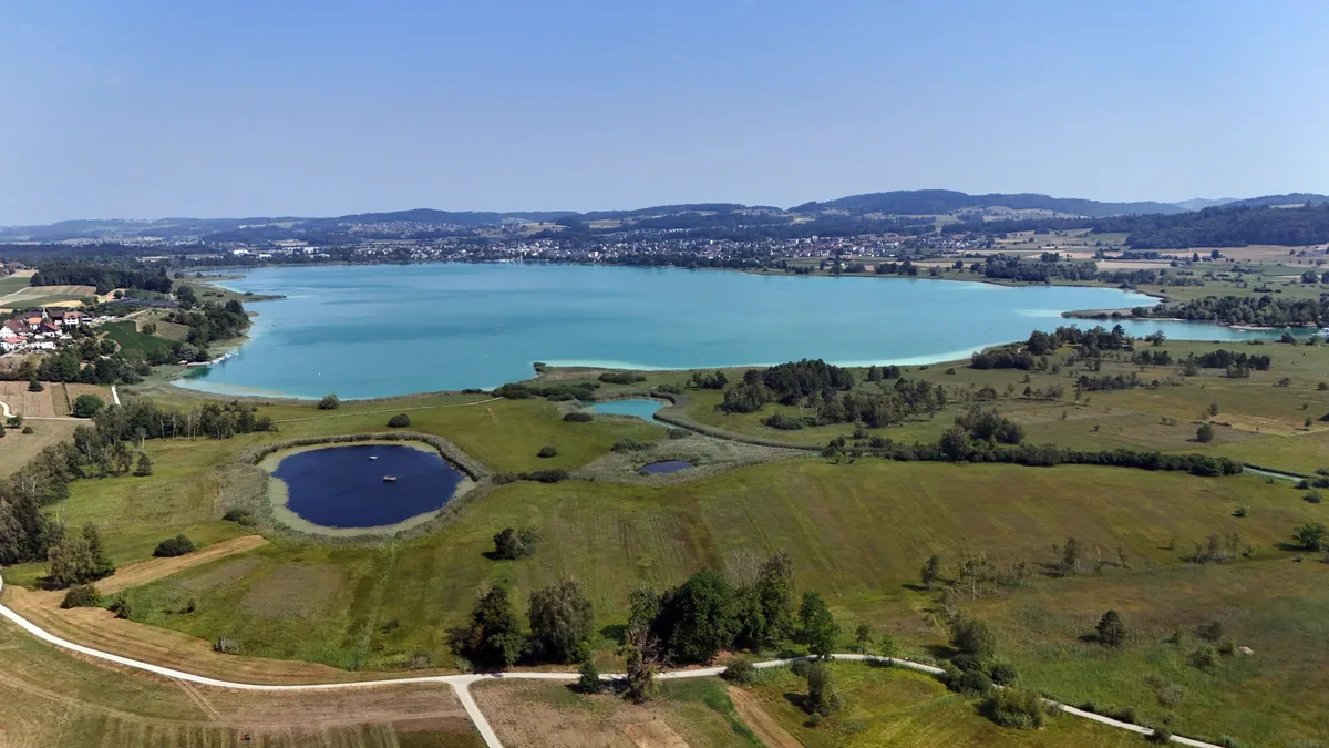Die andauernde Hitze hat auch Einfluss auf den Pfäffikersee und sein angrenzendes Feuchtgebiet. 