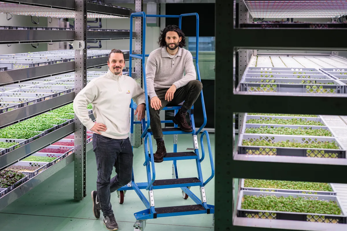 29017871-3 Umami Microgreens Produktion in Illnau