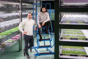 29017871-3 Umami Microgreens Produktion in Illnau