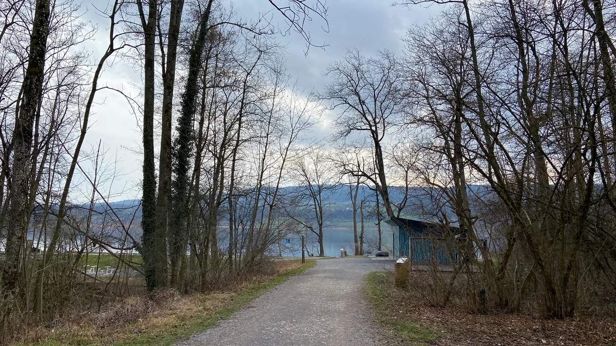 Inpressionen am Greifensee in Niederuster