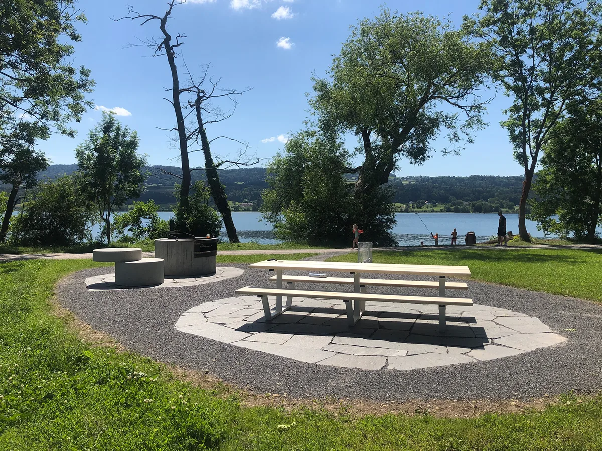 23129164-3 Die Stadt Uster hat per Ende Mai 2020 am Greifenseeufer zwischen Riedikon und Uster alle Grillstellen und Sitzbänke erneuert.