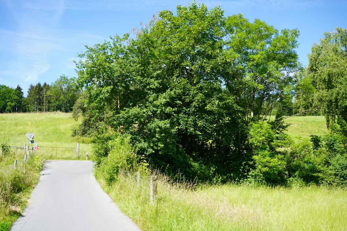 Maur Velounfallstelle