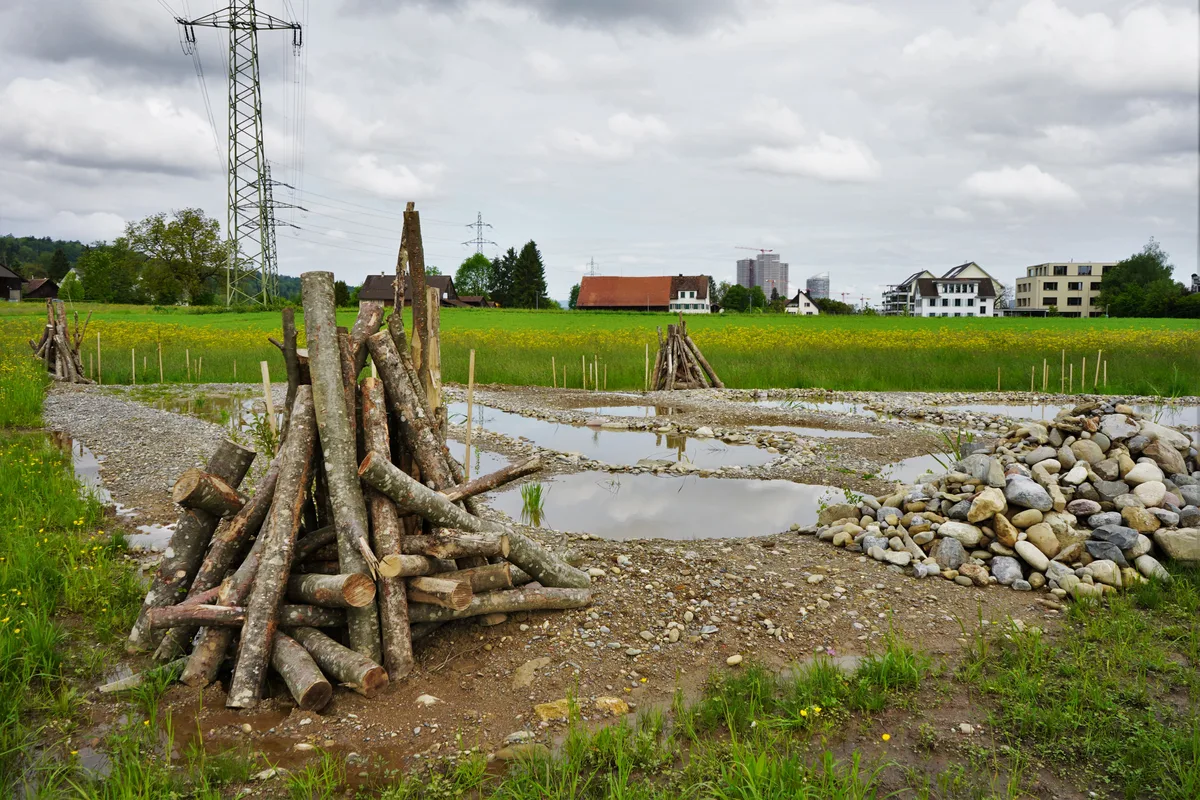 Am 17. Mai wurde das ökologische Aufwertungsprojekt auf dem Landschaftsgebiet Chürzi/ Seewadel durch die Stadt abgenommen.