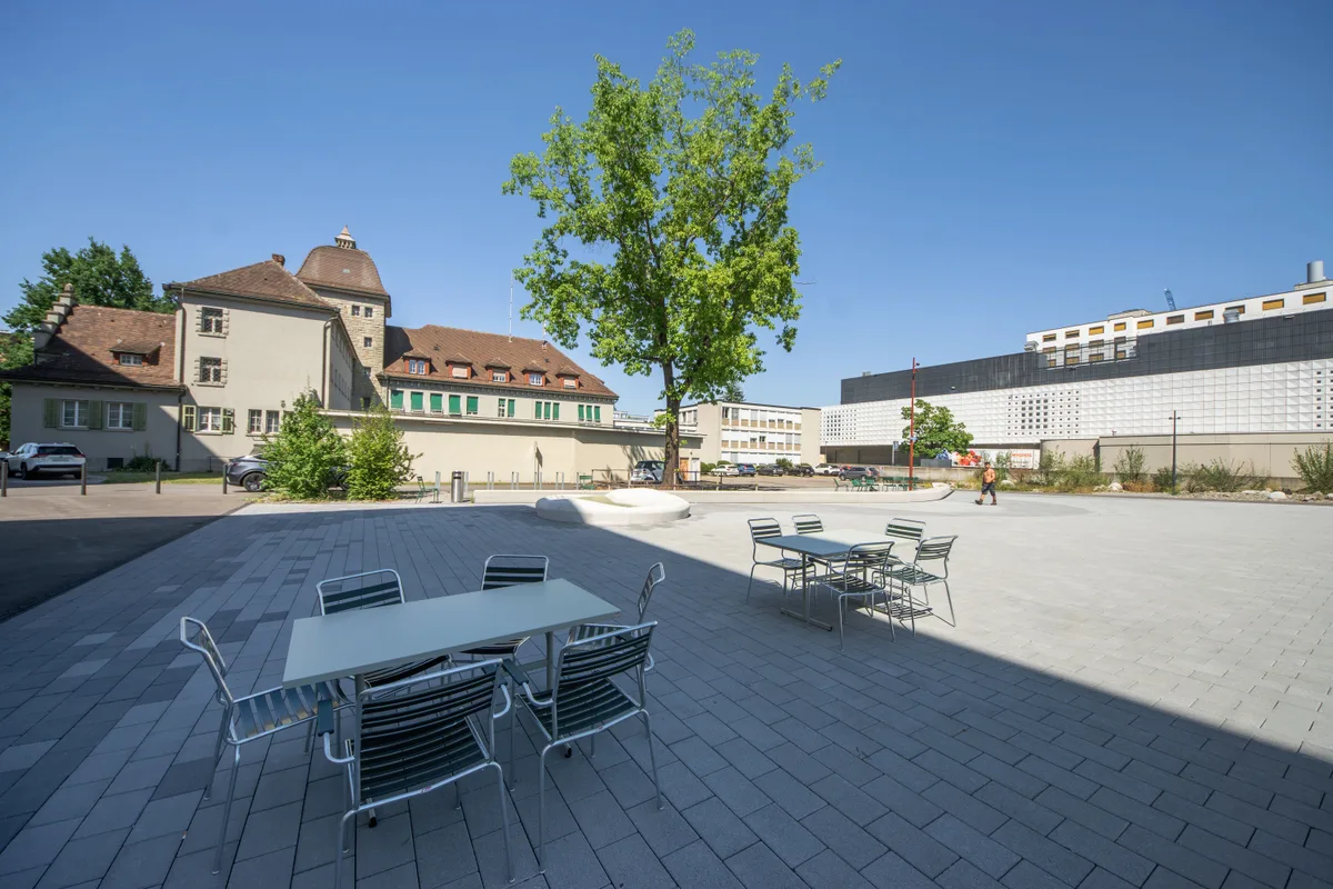 Einer von 3500 städtischen Bäumen in Uster steht auf dem Gerichtsplatz. 