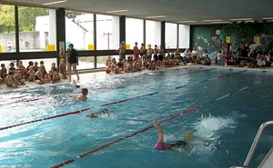 Das Lehrschwimmbecken in der Schule Buechwis in Fällanden Das Lehrschwimmbecken in der Schule Buechwis in Fällanden