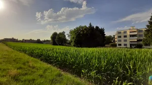 12826397-1 Gebiet Gumpisbüel und Täschenstrasse