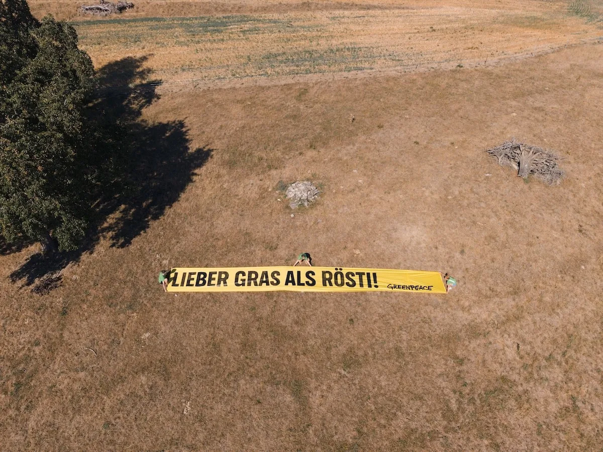 Greenpeace will mit einem Banner auf einer vertrockneten Wiese auf die aktuellen Probleme hinweisen. Greenpeace will mit einem Banner auf einer vertrockneten Wiese auf die aktuellen Probleme hinweisen.