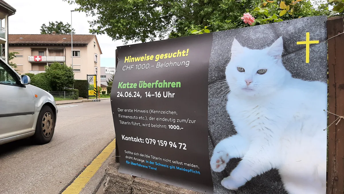 Der Katzenbesitzer sucht den Unfallverursacher mit einem Plakat und einer Belohnung.