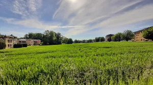 30557146-2 Wiese, Acker und ein Wäldchen innerhalb eines Wohnquartiers.