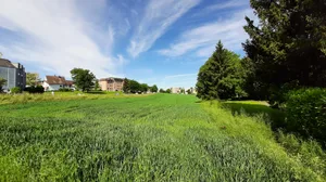 24456516-3 Wiese, Acker und ein Wäldchen innerhalb eines Wohnquartiers.