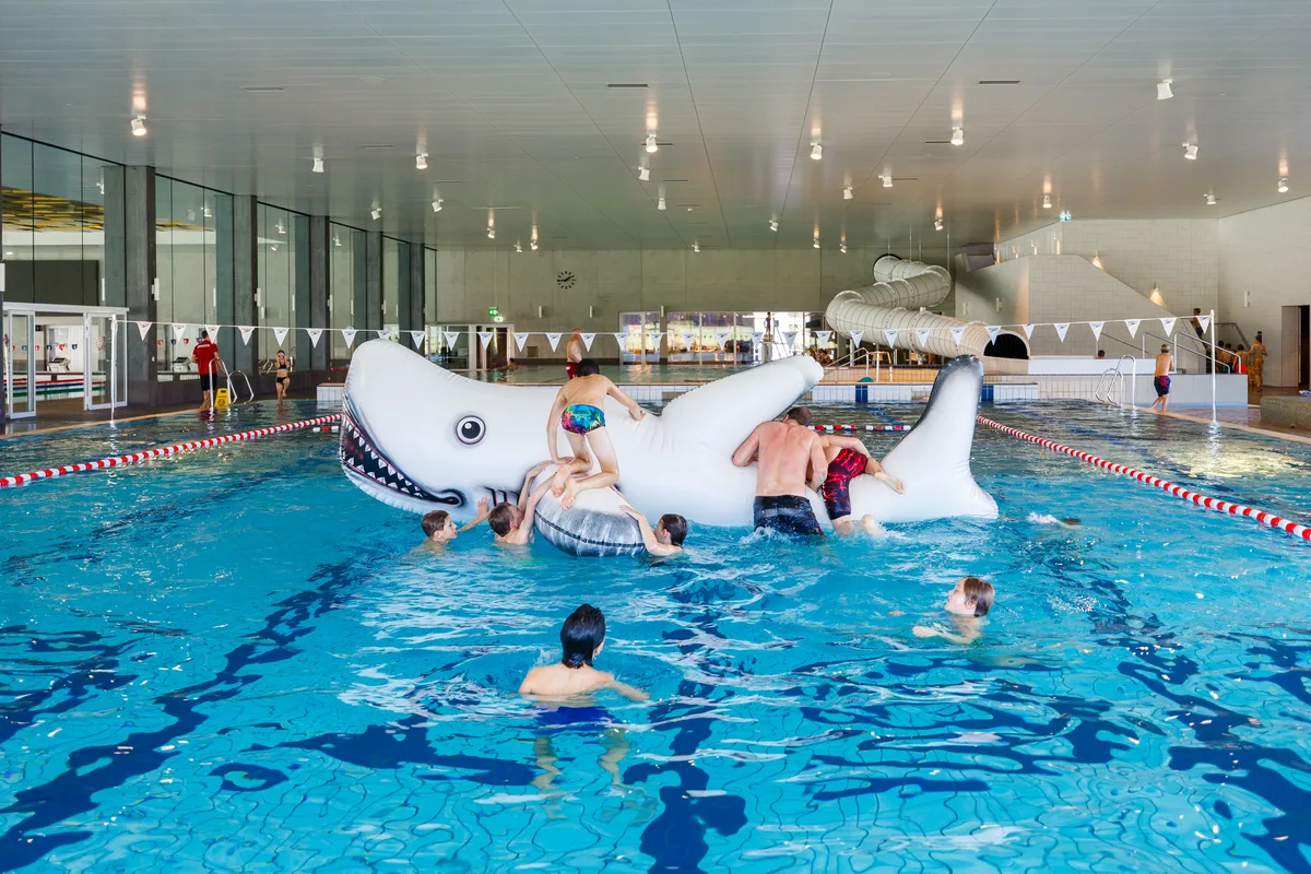 21775300-25 Riesenhai im Hallenbad Uster