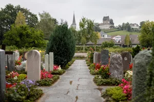 12696731-8 Friedhof Uster