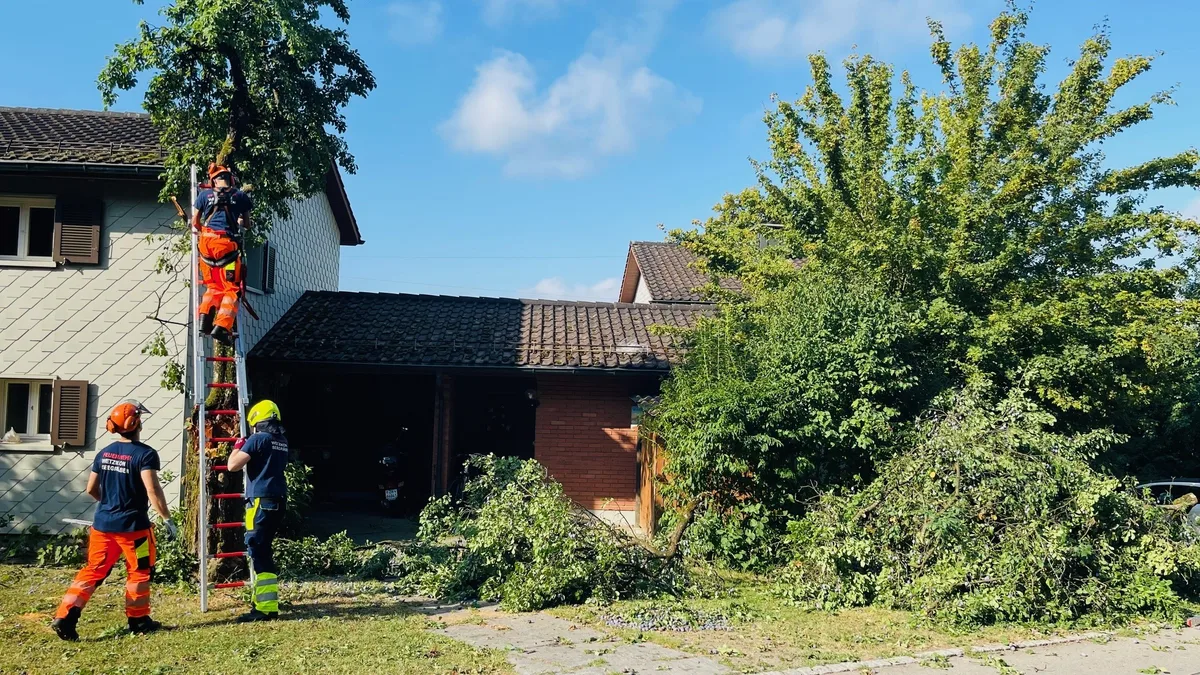 23926111-1 Zwar hatte die Feuerwehr Wetzikon-Seegräben einen Einsatz, jedoch weder wegen Feuerwerken noch aufgrund von illegalem Grillieren.