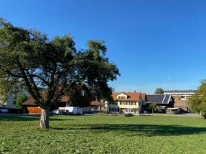 Das Sagi-Areal soll historischem Wohnraum weichen Das Sagi-Areal soll historischem Wohnraum weichen