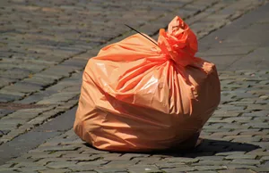 Steht dieser Abfallsack schon am Samstag am Strassenrand, hat die Gemeinde Mönchaltor keine Freude. Dafür aber Tiere. Steht dieser Abfallsack schon am Samstag am Strassenrand, hat die Gemeinde Mönchaltor keine Freude. Dafür aber Tiere.