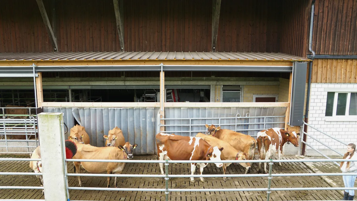 Automatisierung auf Bauernhöfen
