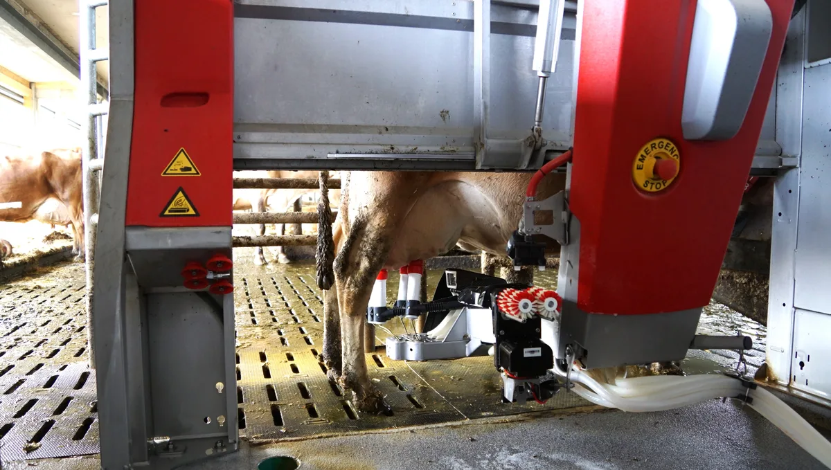 Automatisierung auf Bauernhöfen