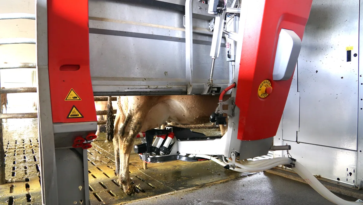 Automatisierung auf Bauernhöfen