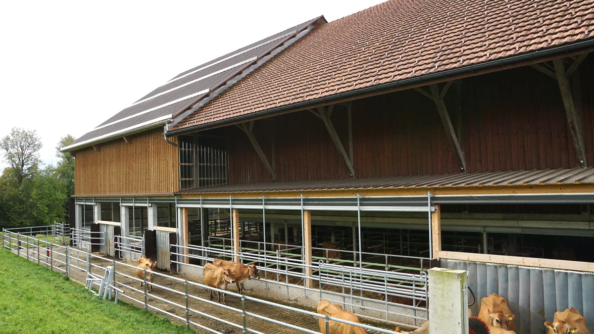 Automatisierung auf Bauernhöfen