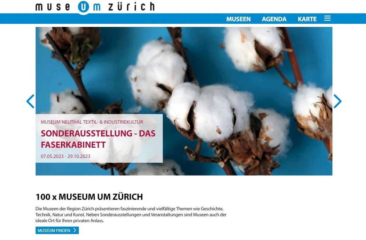 12880500-15 So sieht die neue Website aus.