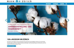 12880500-15 So sieht die neue Website aus.