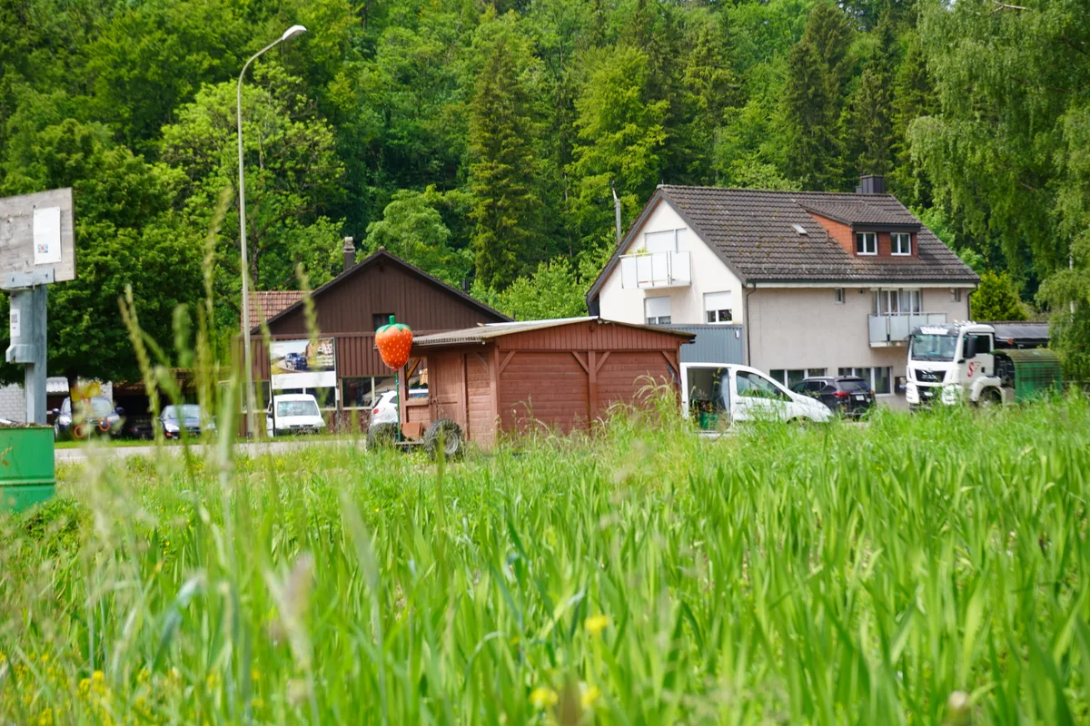 Die Ruhe vor dem Sturm: Die Felder sind trotz Sonnenschein immer noch getränkt.