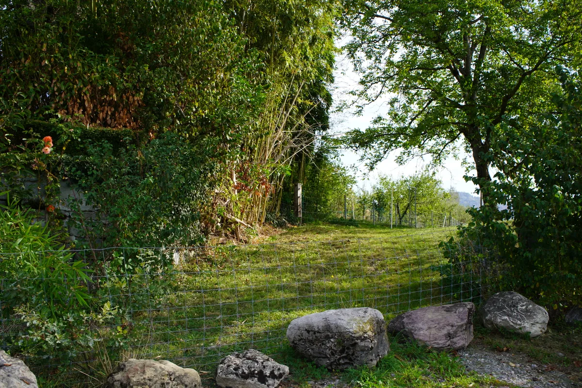 Beim Tannägartenweg konnten Spaziergänger bis anhin quer auf die Guldistud- oder Schachenstrasse gelangen. Nun steht hier ein Zaun.