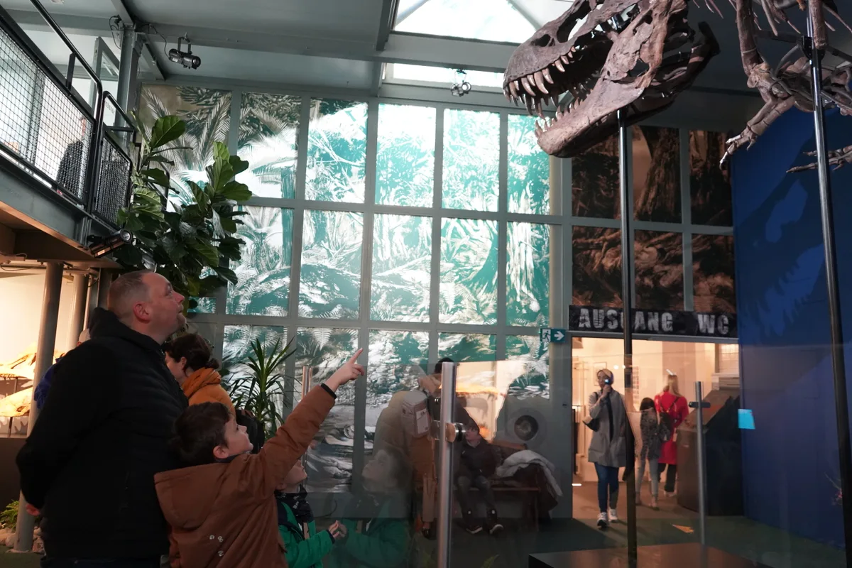 Besucher des Sauriermuseums in Aathal. Ein Kind zeigt auf den Kopf der Urechse.