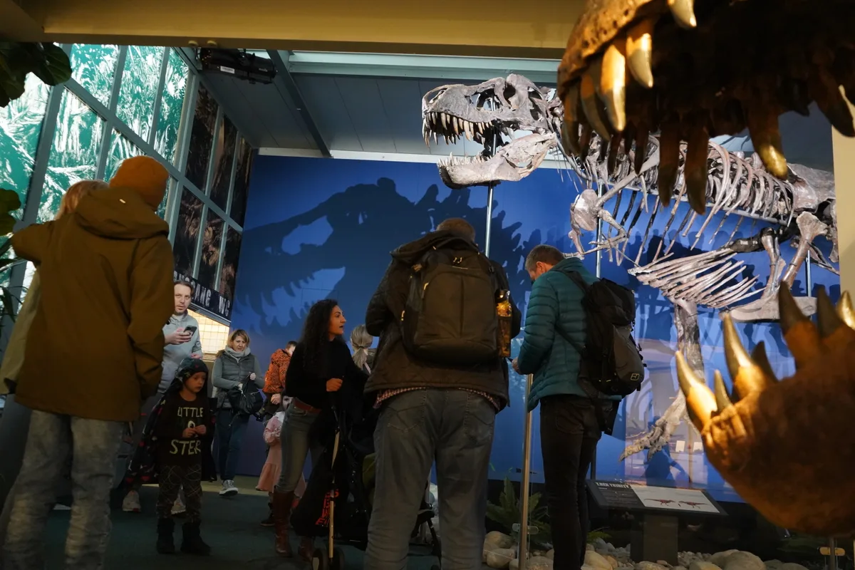 Viele Besucher schauen sich im Museum den T-Rex an.