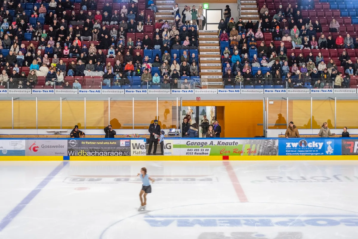 Saga auf dem Eis, dahinter die Tribühne.