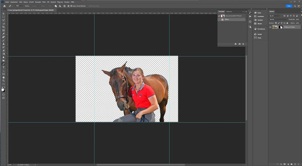 Screenshots von Computerprogrammen der Druckvorstufe.