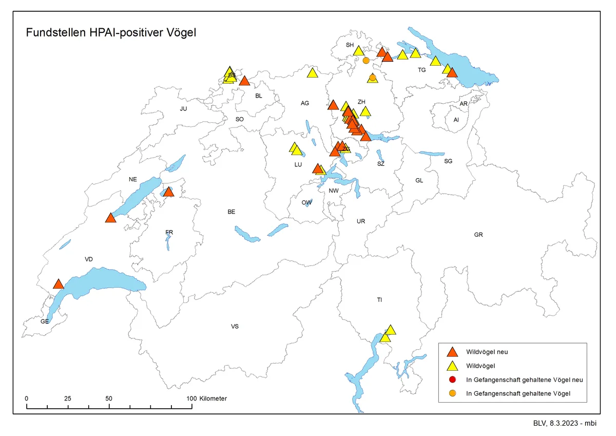 Karte mit den Fundstellen von Vögeln, die mit der Vogelgrippe infiziert wurden.