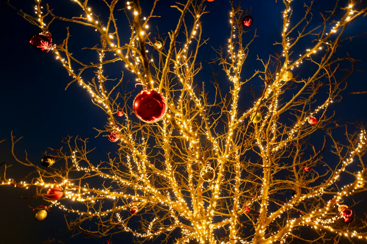 Hier wurde mit viel Liebe zum Detail geschmückt. Nächtliche Weihnachtsbeleuchtung.