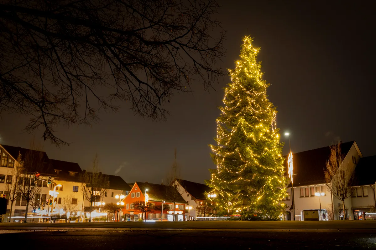 Ganz schön imposant: Christbaum vor dem Stadthaus in Dübendorf. Nächtliche Weihnachtsbeleuchtung.