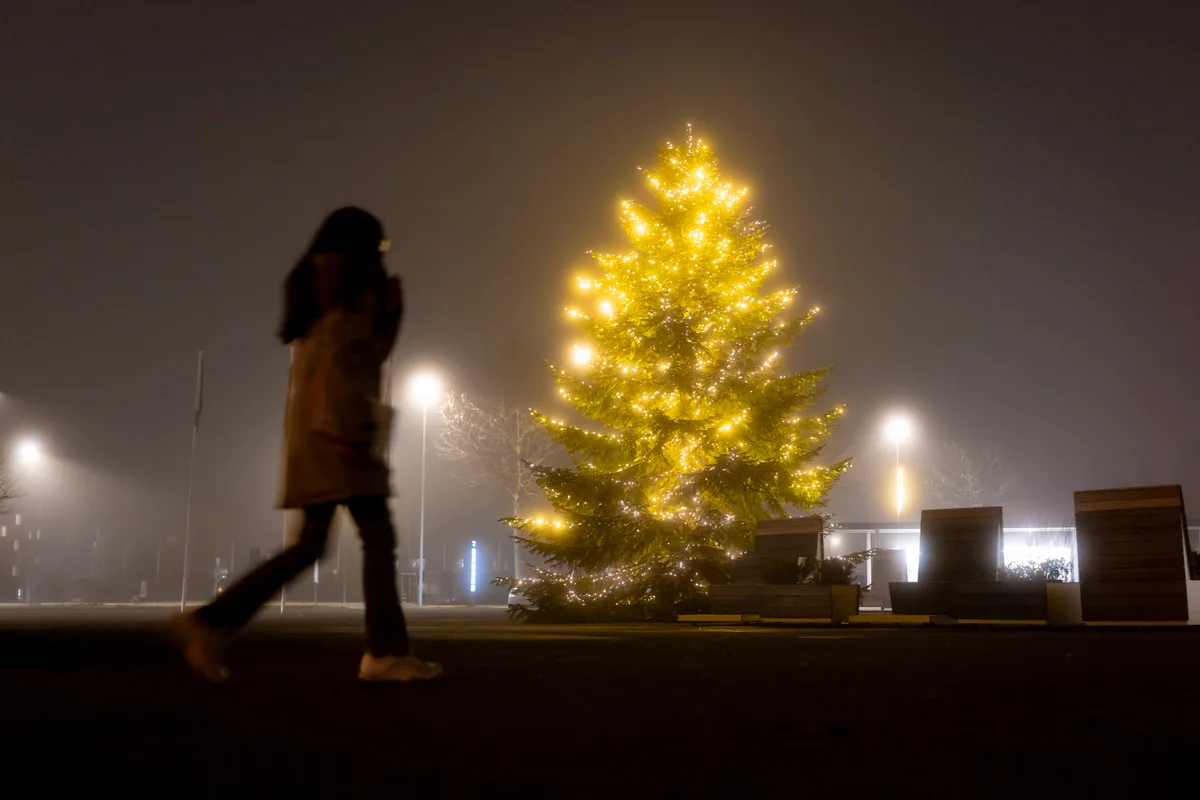 Christbaum vor dem Volketswiler Gemeindehaus. Nächtliche Weihnachtsbeleuchtung.