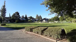 31946353-3 Auf dieser Wiese neben der Schulanlage Sonnenberg soll das neue provisorische Schulhaus hinkommen.