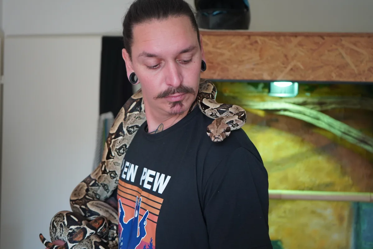 Die etwa 18 jährige Boa ist Kernens einziges Haustier - das Terrarium hat er selbst gebaut.
