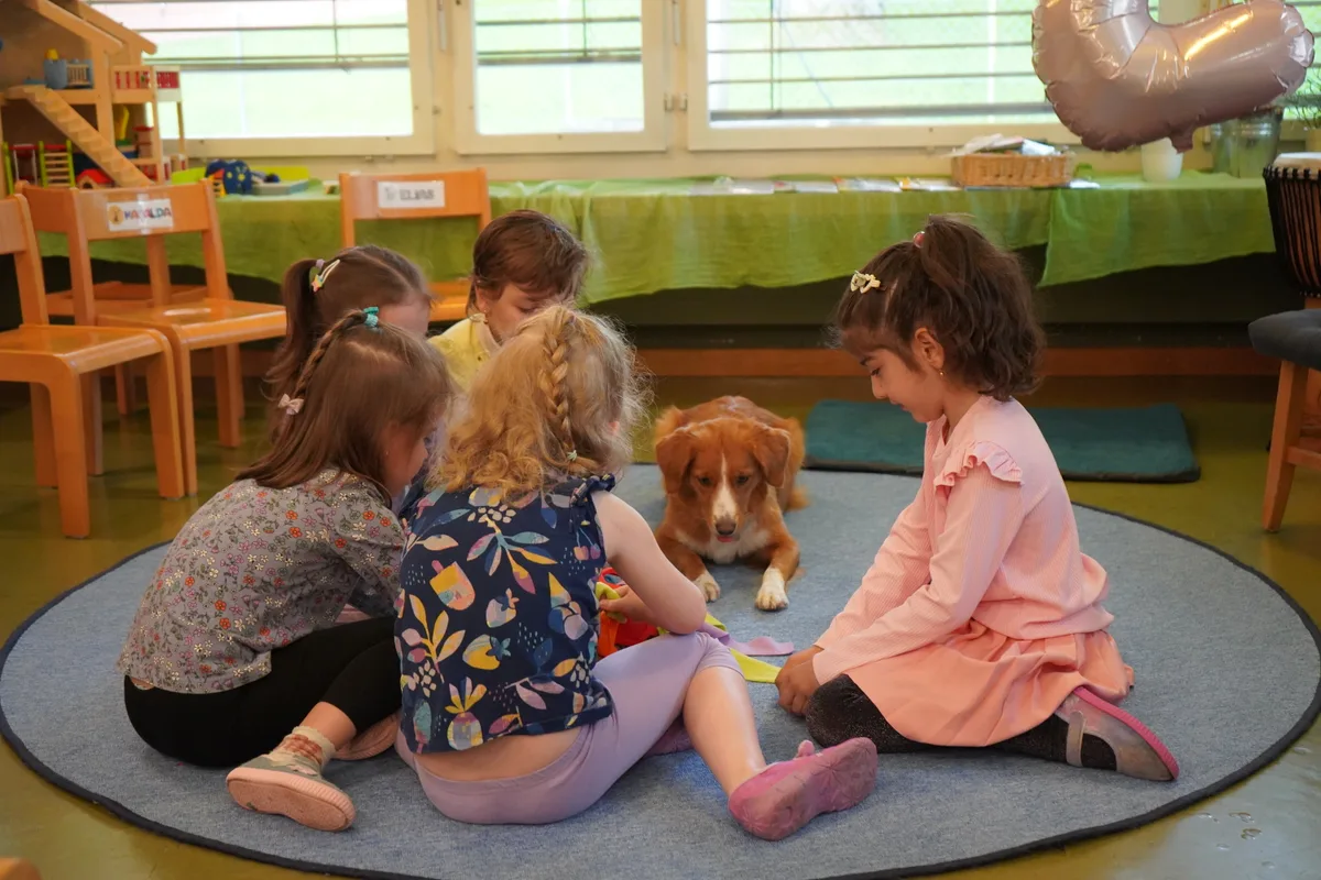 Schulhündin Toffee unterstützt die Kinder bei Lernprozessen und dabei, Empathie und Rücksichtnahme zu lernen.